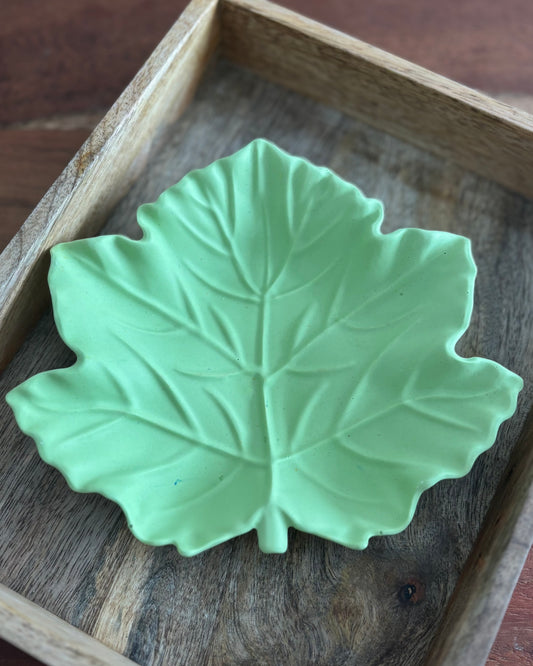 Plateau érable vert