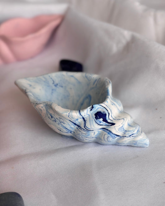 Sea Shell